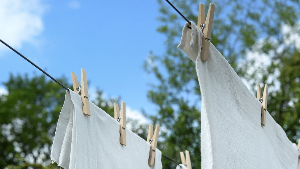 Ekologiczny proszek do prania – przepis i koszty